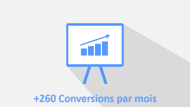 Augmentation des conversions par mois : 260 conversions